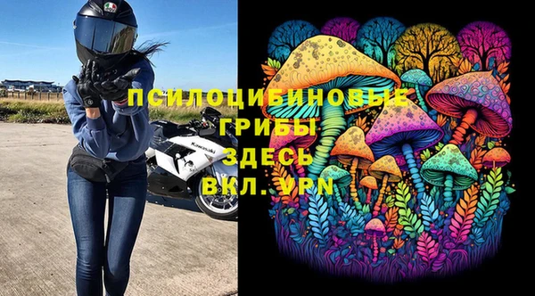 спайс Алзамай