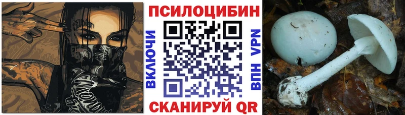 даркнет телеграм  Пошехонье  Псилоцибиновые грибы Cubensis 